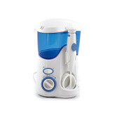 Waterpick WP-100 Water Flosser