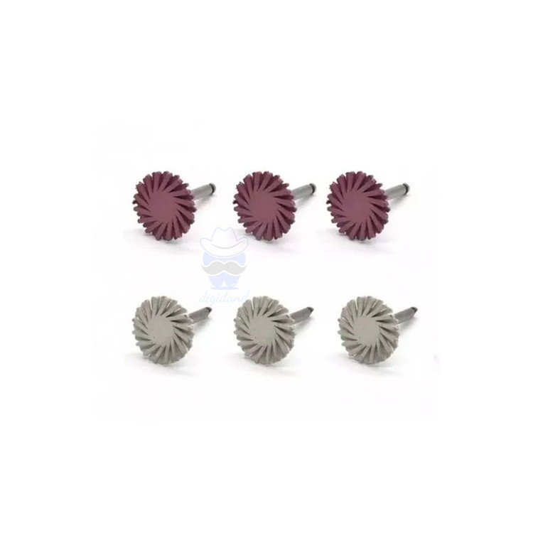 کیت دیسک خورشیدی 2 رنگ دنتکس Dentex