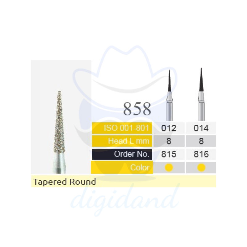 BTM Needle 858