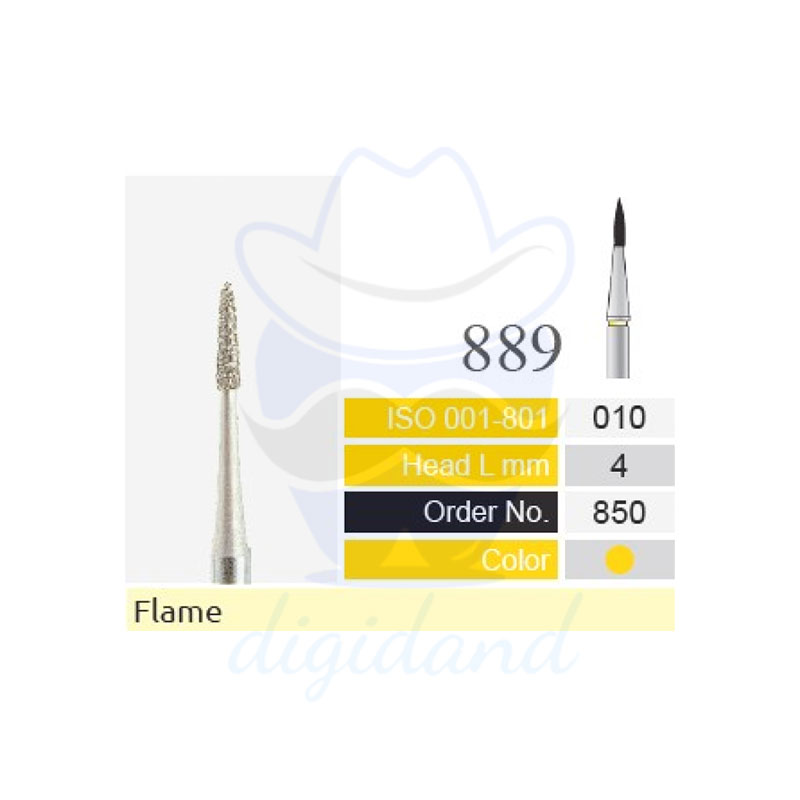 ۸۸۹ Flame BTM
