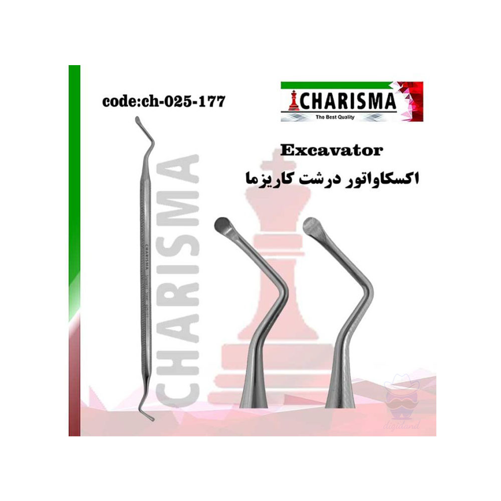 اکسکاواتور کاریزما CHARISMA