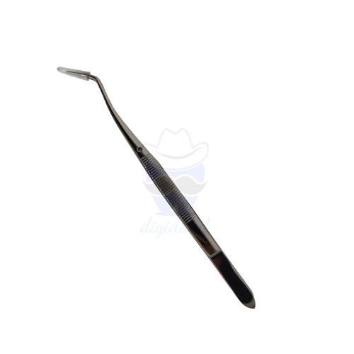 پنس دندانپزشکی دوخم معاینه